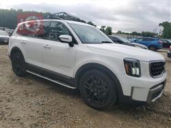 کیا تێلوراید